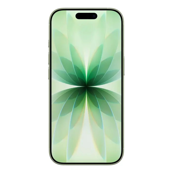 apple-iphone-17-16-cm-63-dual-sim-ios-26-5g-usb-type-c-256-g-50028-wlononwcrpbc7.webp