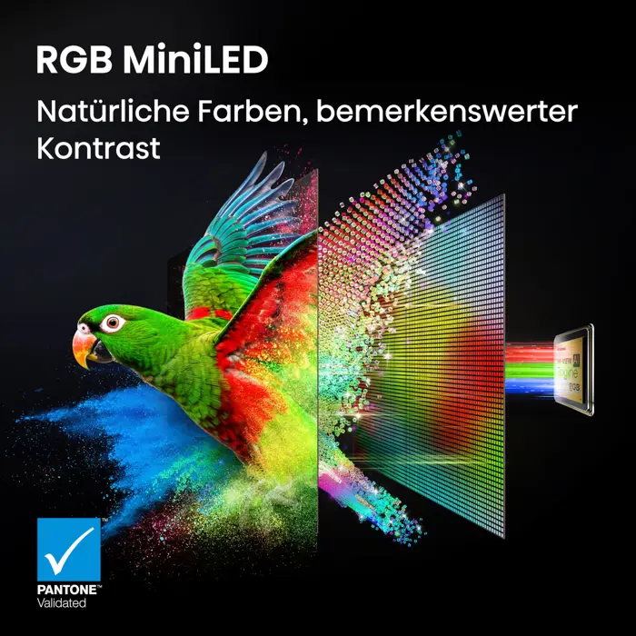 hisense-65ur8ds-rgb-miniled-165-cm-65-inch-7119-65ur8ds-w.webp