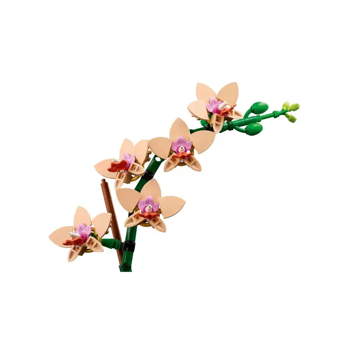 lego-botanicals-10343-mala-orchidea-53563-klolegleg1564.webp