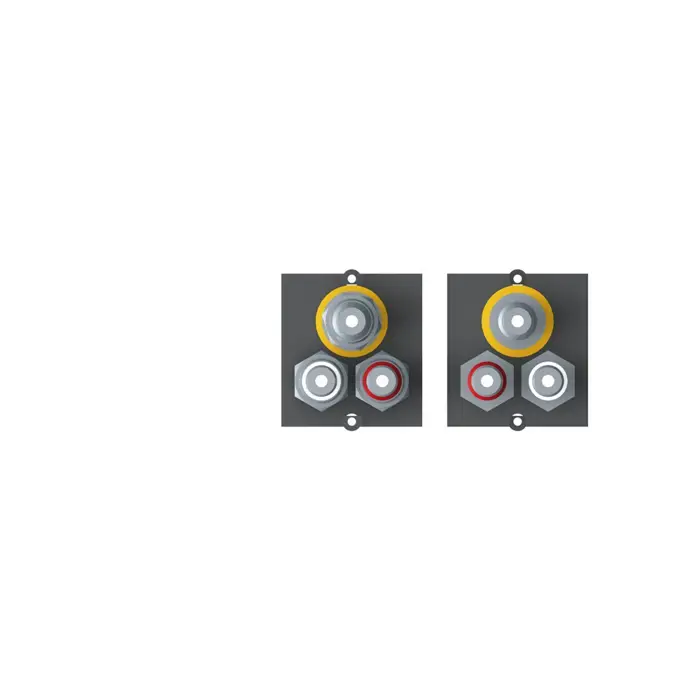 bachmann-ramy-1xvideocinch-stereo-51177-917026-w.webp